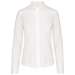 LADIES' LONG-SLEEVED NON-IRON SHIRT